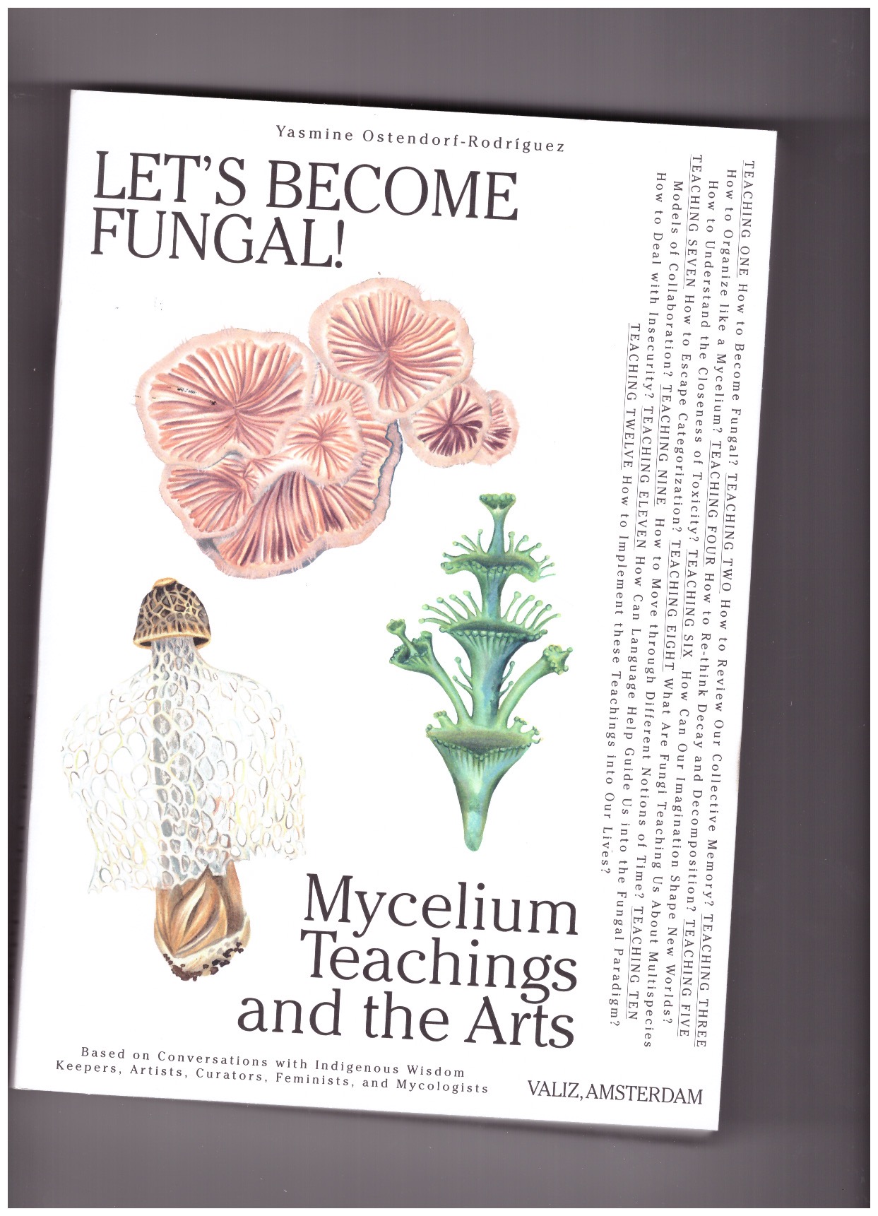 OSTENDORF-RODRÍGUEZ, Yasmine - Let’s become fungal!